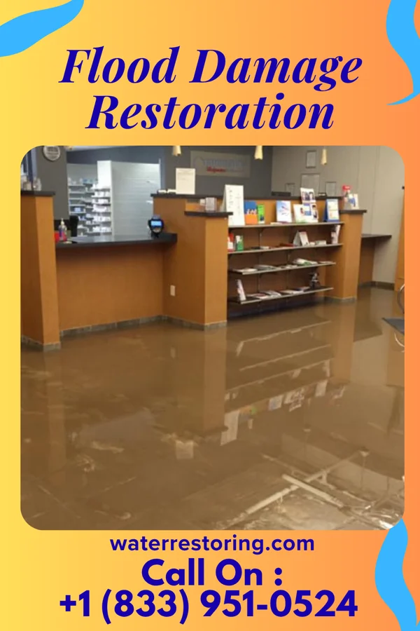 Flood Damage Restoration in Highland Heights, KY