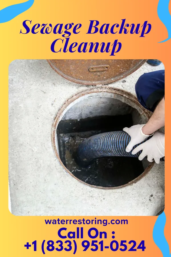 Sewage Backup Cleanup in Highland Heights, KY